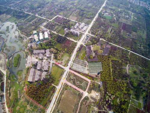 四川一大型军工厂,曾占地约1200亩,产值超一亿,现改建为廉租房