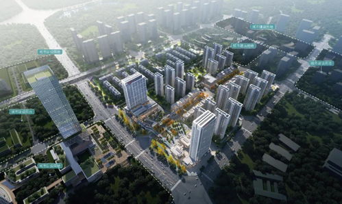 从城市轨道到轨道城市,tod的成都实践