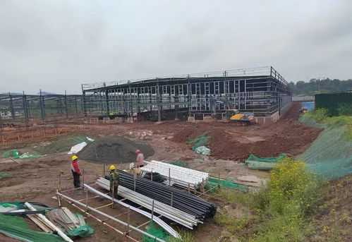 达川区 加快项目建设 厚植产业基础