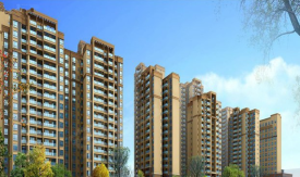 四川金雁房地产开发