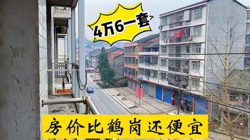 四川小城惊现4.6万三室一厅，房价竟比鹤岗还低