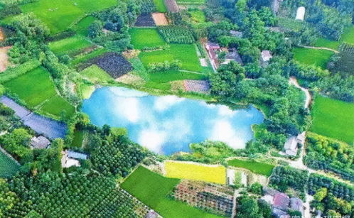 23亿负债压顶，22年老牌房企申请破产！阜阳房企承压，四川地产亦现隐忧