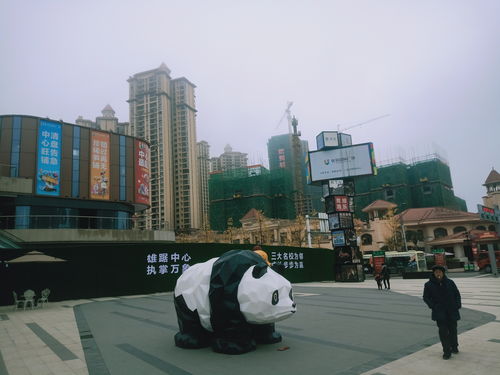 四川巴中 房地产销售乱象调查 优筑欧洲城突出