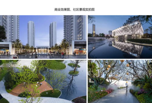 2020年产品力 入围品质项目路演报告合集——聚焦房产长沙站与四川房地产