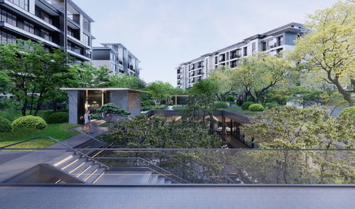 四川资本入局洛阳楼市，“领投雁”能否引领新格局？